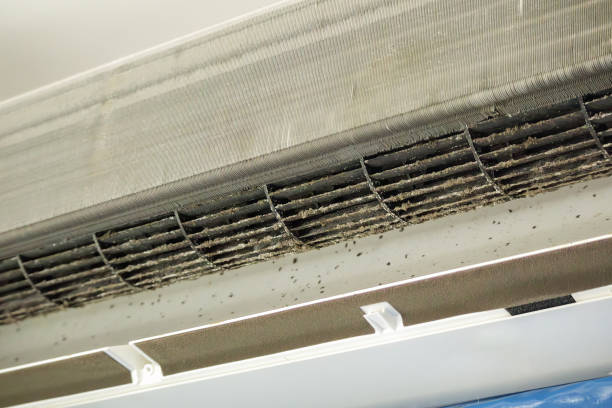 Best Air Duct Cleaning Company Near Me  in Balmville, NY